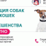 График работы мобильных пунктов вакцинации животных против бешенства - Администрация Наро-Фоминского г.о.