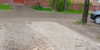 Упавшее в Наро-Фоминском дворе дерево убрали после обращения жителей - Regions.Ru