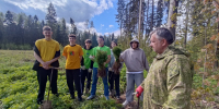 В Наро-Фоминском г.о. высадили деревья в память о героях - Администрация Наро-Фоминского г.о.