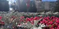 В Наро-Фоминске реконструируют фонтан и сохранят деревья на Молодежной площади - Regions.Ru