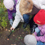 Юные «Воробушки» готовят весенний сюрприз: дошколята Наро-Фоминска высадили тюльпаны - Администрация Наро-Фоминского г.о.