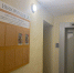 Нашествие мошкары в подвале на Комсомольской в Апрелевке устранят 13 ноября - Regions.Ru