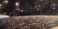 Синоптик Тишковец назвал точную дату возвращения снега в Москву и Подмосковье - Regions.Ru